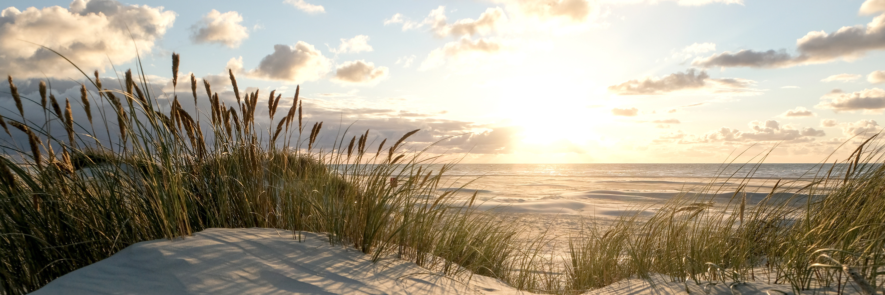 Sommer